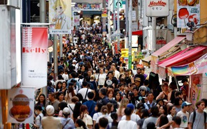 Japanese seafood caught up in escalating diplomatic dispute with China- Ảnh 1.