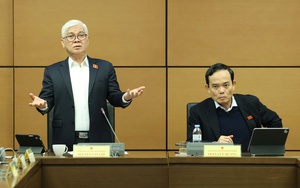Đại biểu Quốc hội đề nghị đánh thuế bất động sản mua đi bán lại - Ảnh 3.
