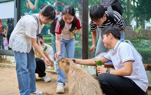 Giải mã "Một sức khỏe" cùng các đại sứ khoa học tại Thảo cầm viên - Ảnh 5.