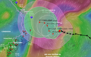 Vietnam military deploys over 267,000 troops, helicopters, vehicles in preparation for storm Koto- Ảnh 3.