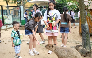 Thảo cầm viên họp mặt fan Mika và những idol Zoobiz- Ảnh 6.