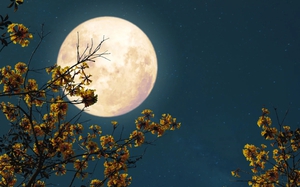 Vietnam skywatchers set for December cold supermoon spectacle- Ảnh 2.