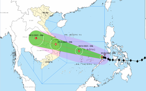 TP.HCM: Các trường dạy online nếu bão Kalmaegi diễn biến phức tạp - Ảnh 2.