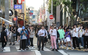 Japan govt to raise visa issuance fees for 1st time in 48 years- Ảnh 3.
