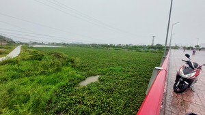 Kiến nghị loại bỏ cây mọc trái thiết kế dự án thoát lũ ở Nha Trang - Ảnh 3.