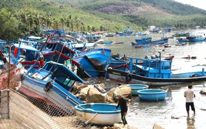 Vietnam’s Gia Lai declares state of emergency after storm Kalmaegi devastates 65 communes- Ảnh 3.