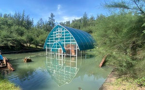 Century-old French villa in central Vietnam faces uncertain future - Ảnh 2.