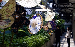 Tham quan 25 di sản nổi tiếng của Việt Nam qua website của học sinh Cần Thơ- Ảnh 2.