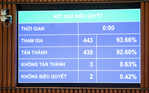 Vietnam’s National Assembly passes 51 laws, 39 resolutions at 10th session - Ảnh 2.
