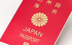 Japan expects growth to accelerate next year with fiscal stimulus - Ảnh 3.