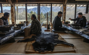 Japan expects growth to accelerate next year with fiscal stimulus - Ảnh 4.