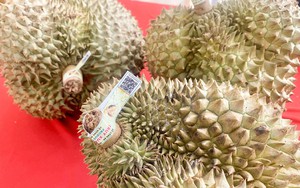 Farm produce goes online, opening wider market access - Ảnh 1.