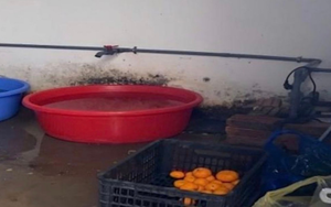 Ho Chi Minh City tightens food safety rules for school meals - Ảnh 4.