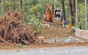 Landslides threaten 35ha pine hill, force evacuations in Vietnam’s Lam Dong- Ảnh 6.