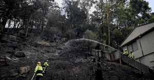 Australian bushfires raze homes in two states; firefighter dies- Ảnh 2.