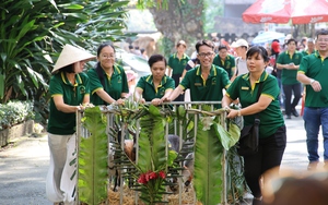 Hồng hạc sinh ra có màu hồng không? - Ảnh 3.