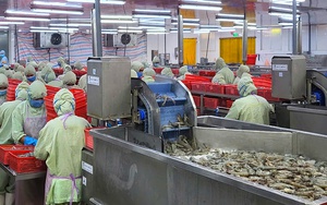 Ngành gỗ Việt không nằm trong diện áp thuế 46%?  - Ảnh 3.