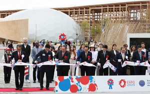 Osaka expo showcases distinctive, delectable cuisines from around world- Ảnh 9.