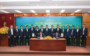 Vietnam's major gas distributor assures supply as businesses fear CNG disruptions from 2026 - Ảnh 2.