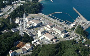Japan to promote regional decarbonization efforts - Ảnh 2.