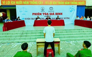 Vài dòng gõ phím, hậu quả khó lường - Ảnh 2.