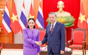 Đại tướng Phan Văn Giang tiếp Tư lệnh Lực lượng Quốc phòng Thái Lan - Ảnh 3.