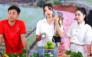 Khán giả tiếc cho hoa hậu Nguyễn Thúc Thùy Tiên vì điều này? - Ảnh 2.