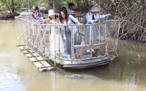 Một ngày khám phá bến cá Vĩnh Trường - Ảnh 24.