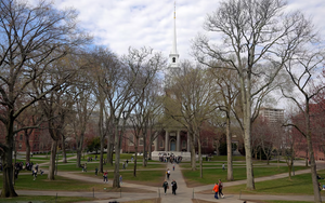 Trump administration halts scheduling of new student visa appointments - Ảnh 3.