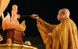 Chim ưng non đi về miền bí ẩn - Ảnh 2.