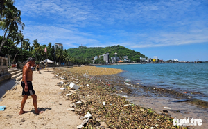 Water hyacinths, marine debris overwhelm tourist beaches in Ho Chi Minh City - Ảnh 7.
