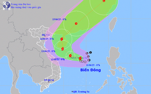 Low-pressure area in East Vietnam Sea likely to strengthen into tropical depression- Ảnh 2.