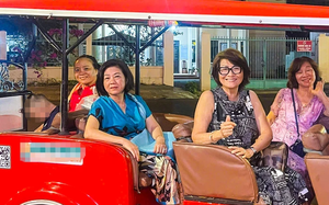 Electric tourist shuttle service in Vietnam’s Quy Nhon suspended after fatal accident- Ảnh 4.