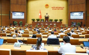 Vietnam tightens requirements for acquiring Vietnamese nationality- Ảnh 2.