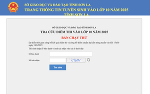 Bắc Giang công bố điểm thi và điểm chuẩn lớp 10 - Ảnh 6.
