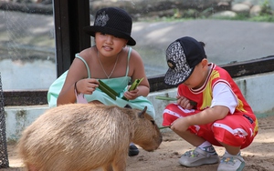 Hàng trăm 'con sen' đưa chó mèo đi thi sắc đẹp tại Ngày hội thú cưng - Ảnh 11.
