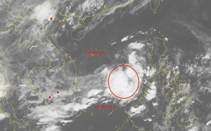 Heavy rain floods northern Vietnam, prompts Hanoi alert - Ảnh 3.