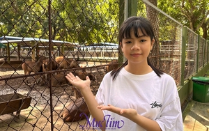 Các bạn trẻ mê giải cứu rắn - Ảnh 4.