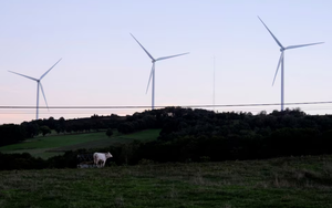 Sweden and Finland urge revision of EU's forestry climate targets- Ảnh 4.