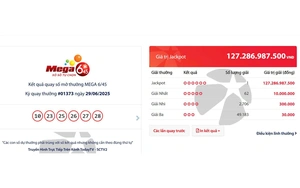 Da Nang teacher wins Vietlott jackpot worth nearly $7mn- Ảnh 3.