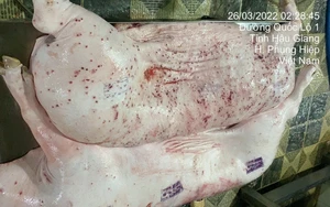 C.P. Vietnam whistleblower says he’s provided sufficient evidence to authorities- Ảnh 2.
