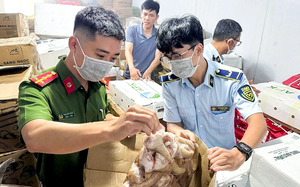 Vietnam’s Dong Nai seizes nearly 17 tons of frozen food of unknown origin  - Ảnh 3.