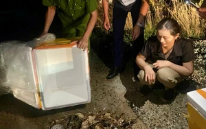 US bans import of seafood from 12 Vietnamese fisheries from January 1 - Ảnh 2.