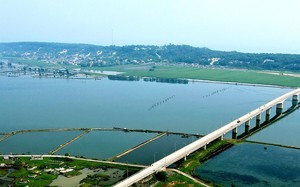 Investigation underway after nearly 95ha of forest destroyed in central Vietnam- Ảnh 3.