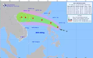 Dự báo đường đi của bão Wipha trong 24 giờ tới- Ảnh 3.