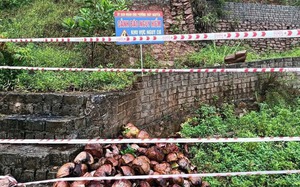 Storm Wipha makes landfall in Vietnam’s Ninh Binh-Thanh Hoa- Ảnh 6.