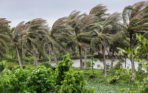 Tropical storm Wipha makes landfall in Vietnam; heavy rains persist in Philippines- Ảnh 5.