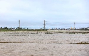 Thunderstorms, whirlwinds damage over 300 houses, leave 17 injured in Vietnam’s Mekong Delta - Ảnh 6.