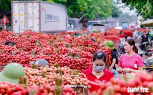 Trắc nghiệm vui: Bạn biết gì về cầu Rạch Miễu 1 và Rạch Miễu 2? - Ảnh 2.