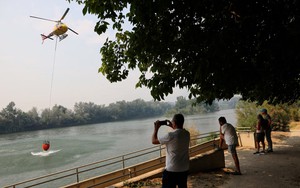 Spain battles 20 major wildfires amid scorching heat, deploys more troops - Ảnh 4.